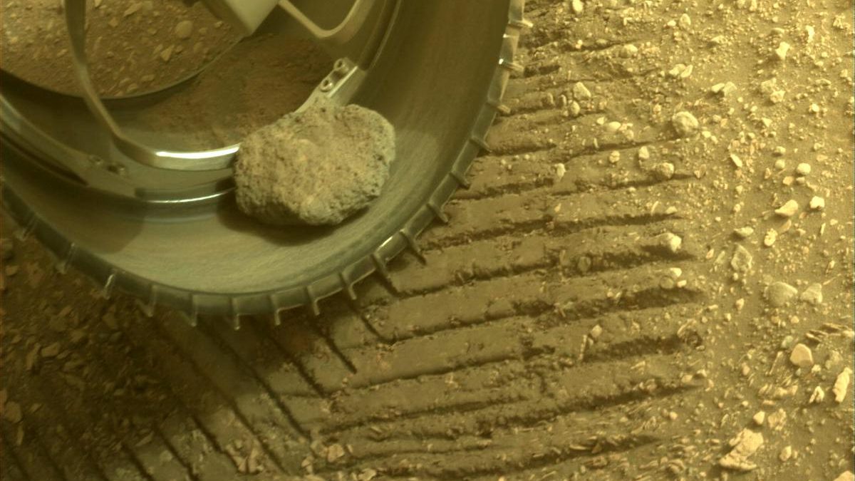 Close-up view of the pet rock of the tenacious Mars rover in the left front wheel.