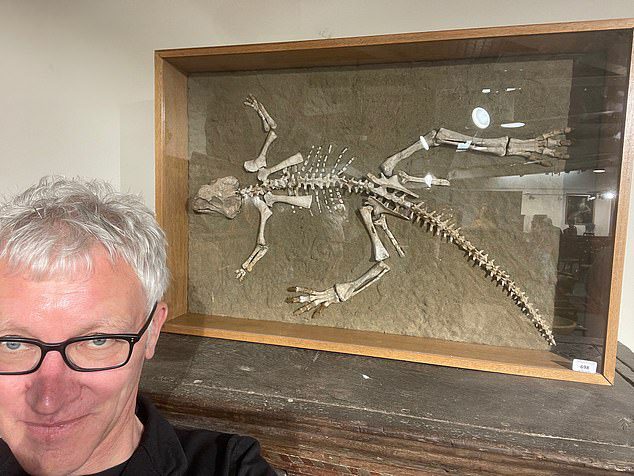 The 54-year-old man (pictured Tom Holland) went with his father to the sale at Woolley & Wallis, in Salisbury, Walts, to make a presentation on the skeleton of a Psittacosarus (parrot lizard) from 97.5 to 119 million years old.